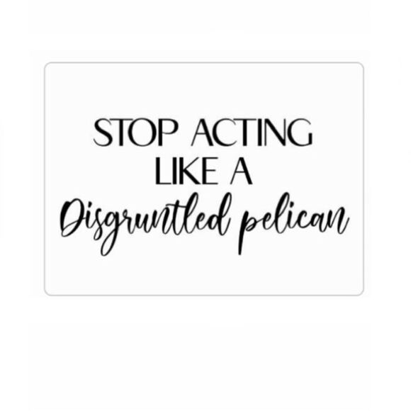 Schitt’s Creek “Stop Acting Like a Disgruntled Pelican” magnet - Picture 1 of 2